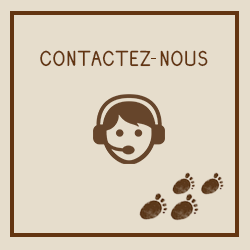 contact